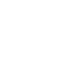 Wordpress icon