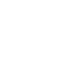 WordPress developer